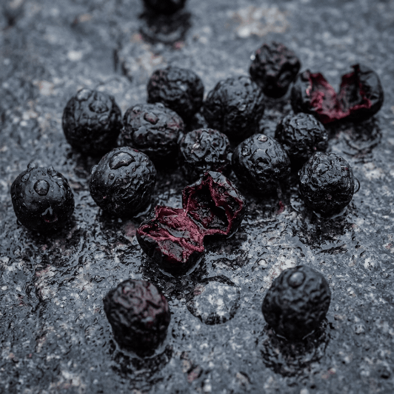 Chokeberry (Aronia)