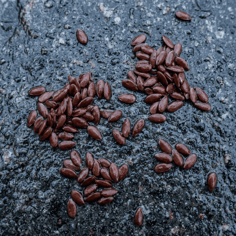 Fermented Flaxseed