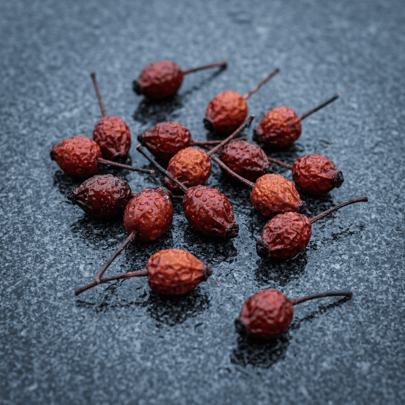 Rosehip